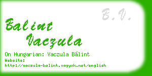 balint vaczula business card