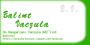 balint vaczula business card